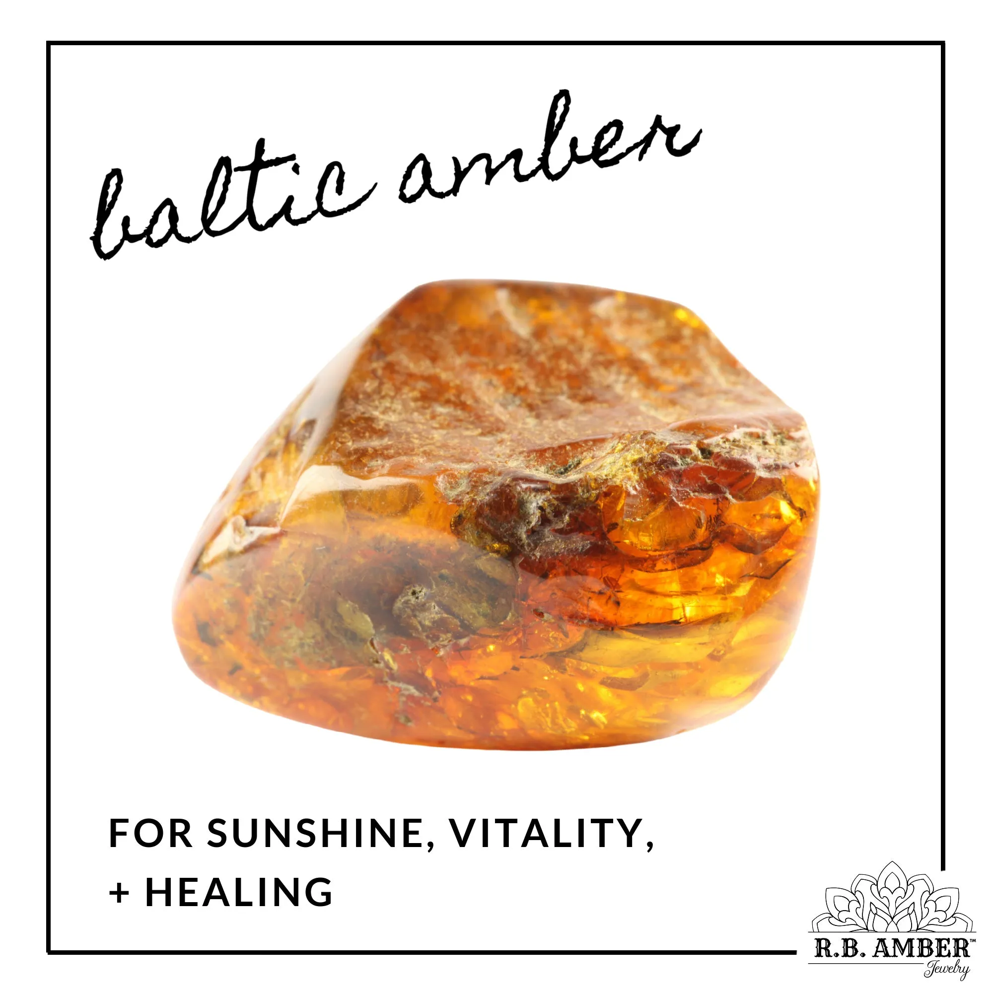 Baltic Amber Stud Earrings