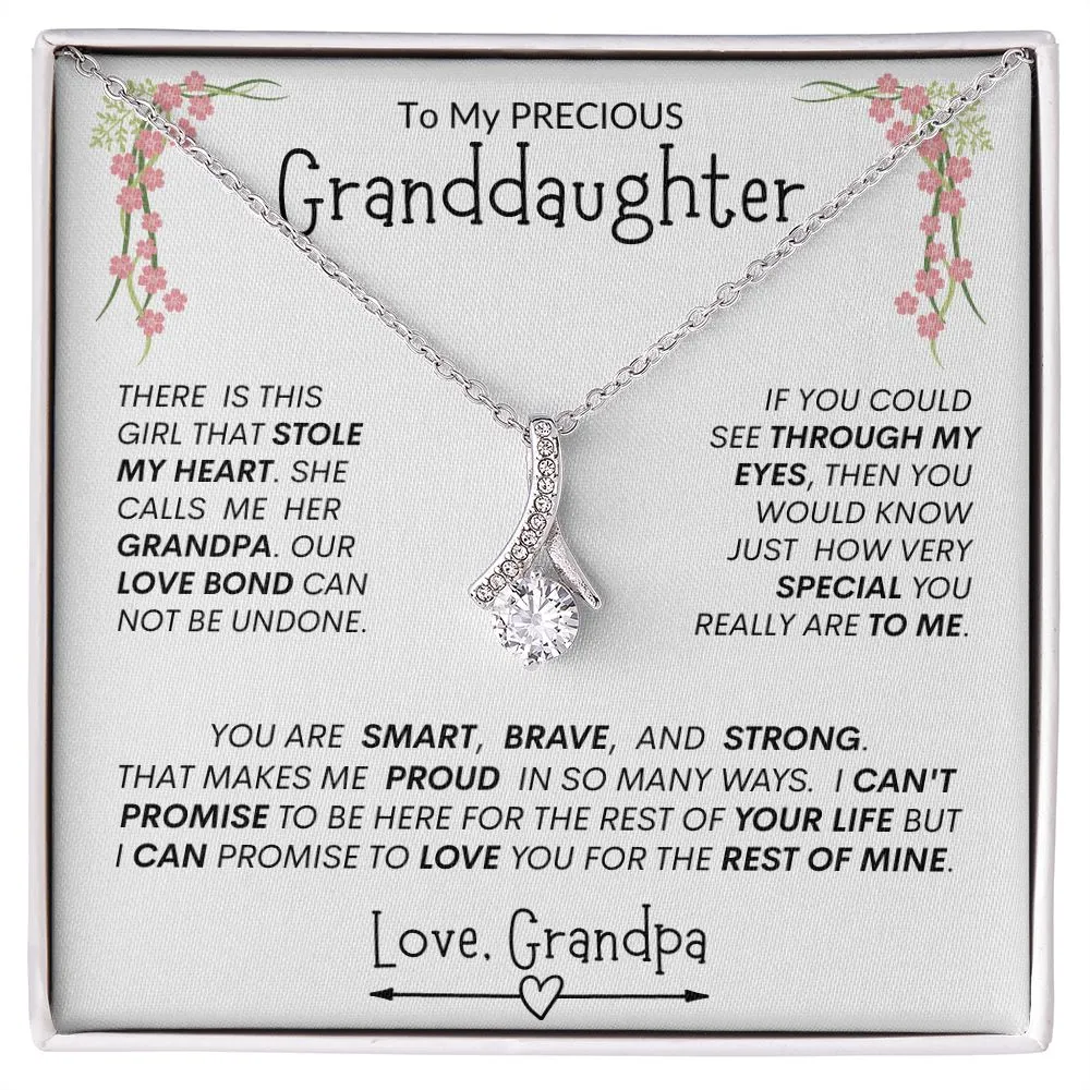 Granddaughter from Grandpa "Stolen Heart, Unbreakable Bond" -- Alluring Heart Necklace
